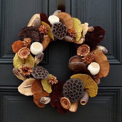 Rosalind Wheeler Natural Sponge with Pods and Cones Fall Dried Mushroom Wreath Size: 18" H x 18" W x 6" D Moss And Mushroom Wreath, Mushroom Wreath, Red Hydrangea Wreath, Olive Branch Wreath, Preserved Boxwood Wreath, Magnolia Leaf Wreath, Letter Wreath, Spring Flower Wreath, Silk Wreaths