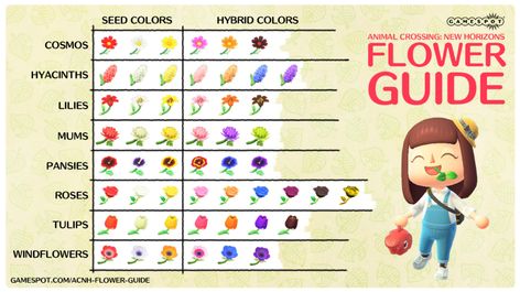 Animal Crossing: New Horizons Hybrid Flowers Guide - How To Breed Flowers - GameSpot Flowers Animal Crossing, Hybrid Flowers, Flower Chart, Diy Flower Crown, Animal Crossing Guide, List Of Flowers, Purple Pansy, Flower Guide, New Animal Crossing