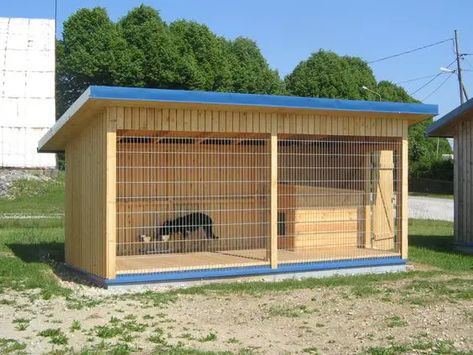 25 Best Outdoor Dog Kennel Ideas - The Paws Outdoor Dog House Ideas, Dog House Ideas, Dog Kennel And Run, Outdoor Dog Area, Diy Dog Run, Dog Enclosures, Kennel Ideas Outdoor, Building A Dog Kennel, Dog Enclosure