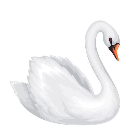 Swan Vector Illustration, Tattoo Swan, Swan Cartoon, Swans Illustration, Swan Vector, Swan Images, Swan Sticker, Duck Icon, Duck Vector