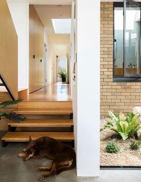 A Home With Two Personalities Yellow Brick House, Yellow Brick Houses, Landscape Australia, Double Height Living Room, Residence Design, Brick Exterior House, Open Space Living, House Extensions, The Design Files