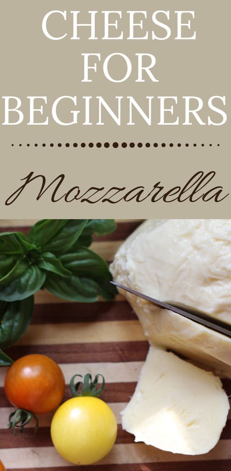 Snacks With Fresh Mozzarella, Easy Cheese Making Recipes, Whole Milk Mozzarella Recipes, Make Your Own Cheese, Homemade Cheese Recipes Cheesemaking, How To Make Fresh Mozzarella, Homemade Fresh Mozzarella, Homemade Mozzarella Recipes, How To Make Monzerrela Cheese