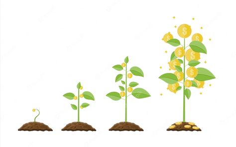 Premium Vector | Vector growing money tree. stages of growing.