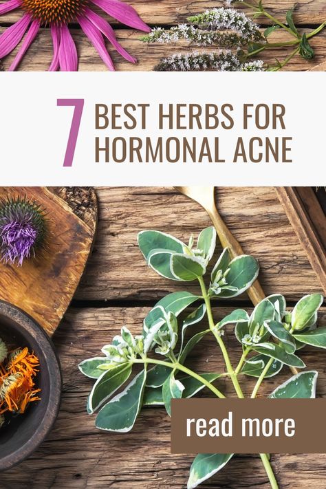 7 best herbs for hormonal acne Acne Herbal Remedies, Holistic Hormonal Acne, Natural Remedies For Hormonal Acne, Natural Hormonal Acne Remedies, Herbs For Acne Clear Skin, Herbs For Hormonal Acne, How To Heal Acne, Hormonal Acne Tips, Herbs For Clear Skin