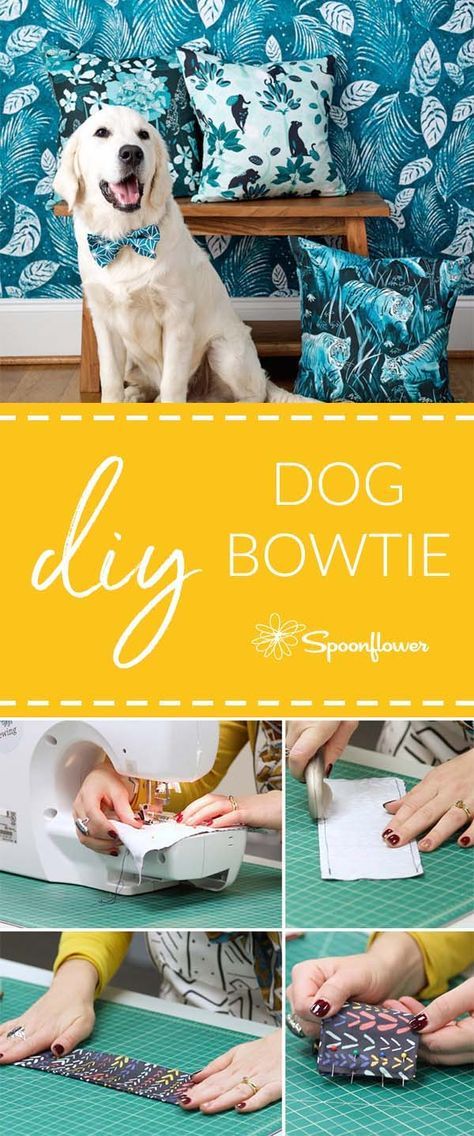 Dog Bow Tie Diy, Dog Bow Tie Pattern, Diy Dog Gifts, Dog Bandana Pattern, Dog Bow Ties, Diy Dog Collar, Dog Diy, Bowtie Pattern, Collars Diy