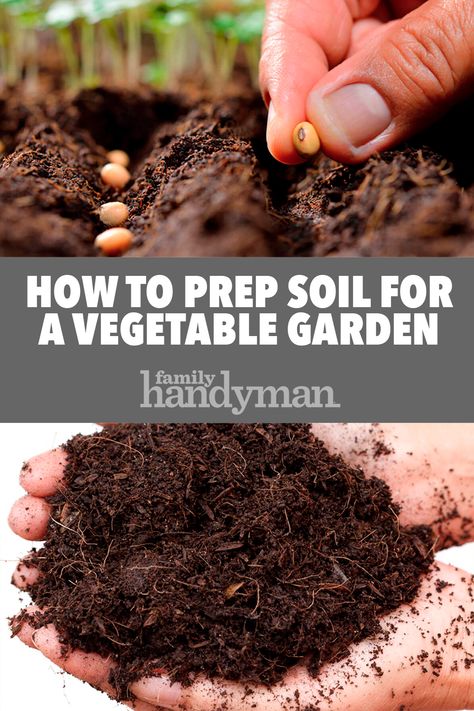 Garden Types, Garden Soil Preparation, Garden Prep, Vegetable Garden Soil, Garden Prepping, Start A Garden, Compost Soil, Container Vegetables, Garden Vegetable