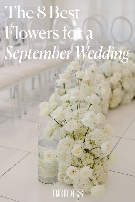 We asked the experts to share the best flowers that are in season for a September wedding. Whether you use them in your bridal bouquet, your wedding ceremony arch, or your wedding centerpiece here are the florals to choose for your late summer or early fall wedding. // Photo: Amanda Donaho Photography White Flowers For Fall Wedding, All White Fall Wedding Bouquet, September Flower Wedding, White Fall Flowers Wedding, Fall Seasonal Flowers, Flowers Available In September, September 21 Wedding, Bridal Bouquet September Wedding, White September Flowers