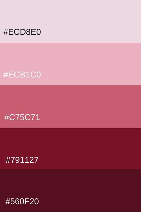 Burgundy And Pink Color Palette, Red Palette Color, Red Palette, Red Color Palette, Create Color Palette, Hex Color Palette, Pink Palette, Industrial Design Sketch, Brand Color Palette