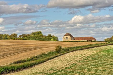 If you're thinking of buying a barn and converting it into a house, or you have unused rural buildings on your land, read our top tips for convering rural properties Country Life Magazine, Rich Living, Converted Barn, Best Barns, Stone Barns, Farm Buildings, Thatched Roof, Barn Conversion, Dark Interiors