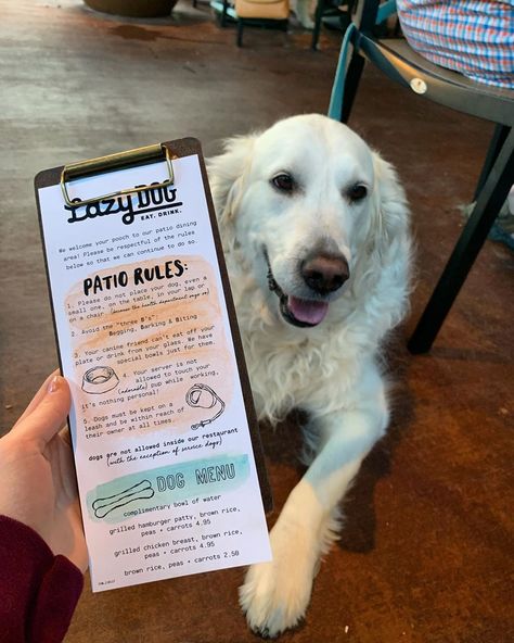 Dog Friendly Bar Ideas, Dog Friendly Coffee Shop Ideas, Dog Friendly Restaurant Design, Pet Friendly Cafe Interior, Dog Friendly Cafe Ideas, Pet Friendly Cafe Ideas, Dog Friendly Coffee Shop, Dog Cafe Ideas, Dog Cafe Design