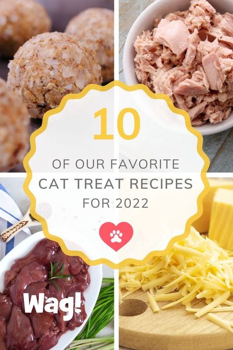 Dog And Cat Homemade Treats, Homemade Cat Ice Cream, Dehydrated Cat Treats Recipes, Dehydrated Cat Treats, Home Made Cat Treats Easy, Chicken Cat Treats Homemade, Homemade Treats For Cats, Cat Recipes Food, Diy Pet Treats