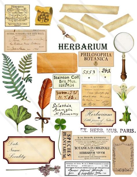 Natural Museum, Journal Png, Papel Vintage, Album Journal, Clipart Vintage, Scrapbooking Journal, Image File Formats, Clip Art Vintage, Digital Collage Sheets