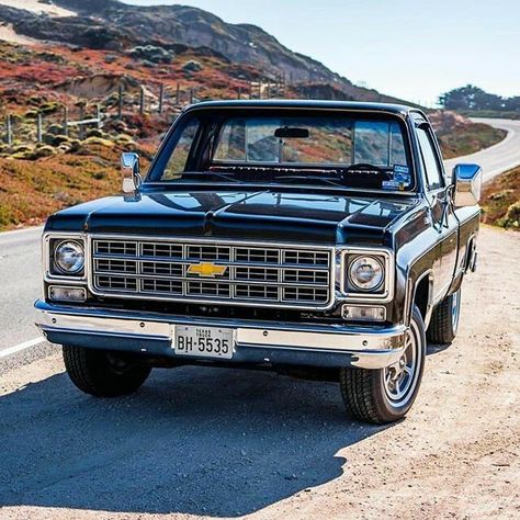 80s Pickup Truck, C10 Chevy Truck 73-87, Ww Inspiration, 80s Chevy Truck, 1973 Chevy Truck, 87 Chevy Truck, American Pickup Trucks, Single Cab Trucks, Vintage Pickup Trucks