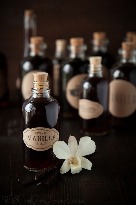 Homemade Vanilla Extract - Better & Cheaper Than Store-Bought (FAK Friday) - Will Cook For Friends Homemade Vanilla Extract, Special Desserts, Homemade Vanilla, Food Gifts, High Tea, Diy Food, Vanilla Bean, Homemade Gifts, Vanilla Extract