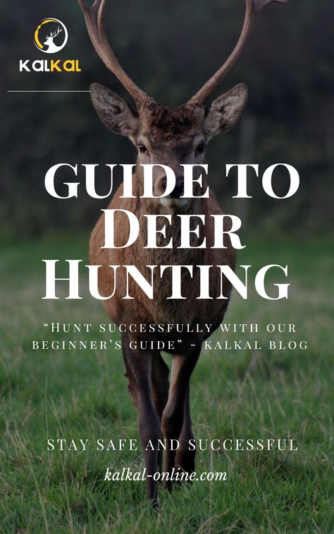 deer hunting guide Deer Hunting Season, Hunting Guide, Deer Hunting Tips, Hunting Women, Hunting Tips, Living Off The Land, Hunting Season, Deer Hunting, The Wilderness