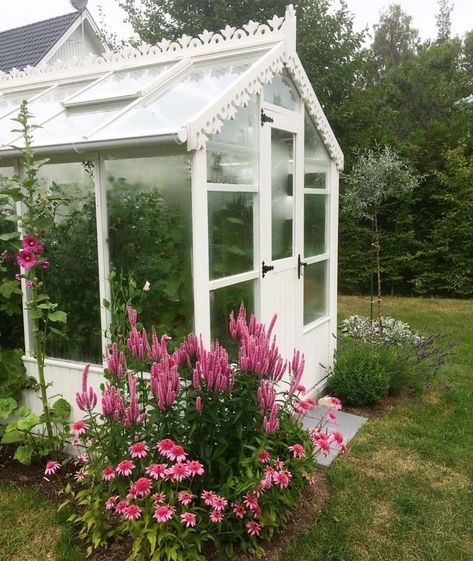 Cute Greenhouse, Dream Together, Garden Goals, Pretty Houses, Bookstore Cafe, Greenhouse Plants, Garden Beautiful, Garden Life, Potting Sheds