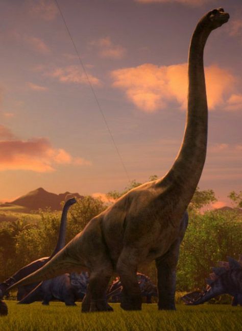 Bumpy In Evolution Camp Cretaceous Mods | Jurassic World Evolution Mod Spotlight, Jurassic World Camp Cretaceous] Brachiosaurus Gen 24 she herbivore is a genus of large sauropod dinosaur it weighed up to an enlarged 56 metric tons brachio have home and kajiu and bracelet radio roar sound need she from vorton be good guy pet to the superheroes dinosaurs series of dimensions Jurassic World Camp Cretaceous, Jeremy Shada, Glen Keane, Raini Rodriguez, Dinosaur Wall Decor, Jurassic Park 1993, Dinosaur Images, Camp Cretaceous, Dinosaur Pictures