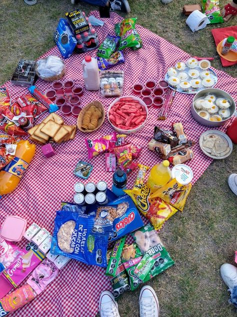 Colour Coded Picnic, Picnic Colour Theme, Outdoor Picnic Ideas Friends, Colorful Picnic Party, Color Themed Picnic, Rainbow Picnic Party, Rainbow Picnic Ideas, Coloured Picnic, Colour Picnic