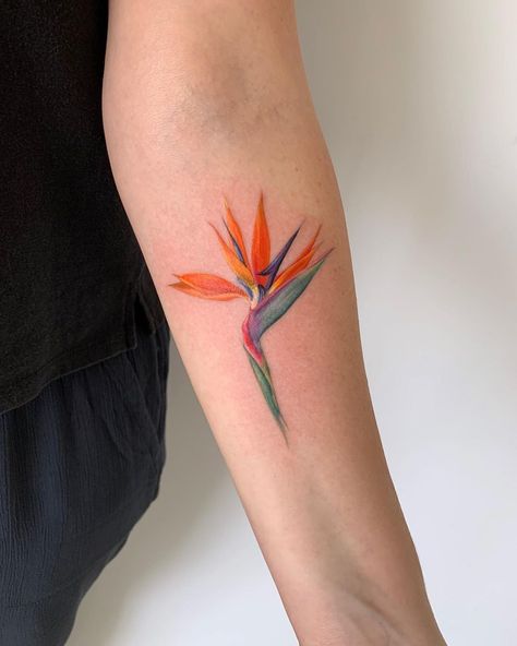 Bird Of Paradise Tattoo, Pixie Tattoo, Tiny Tattoos For Women, Paradise Tattoo, Bestie Tattoo, Tasteful Tattoos, Kawaii Tattoo, Back Of Shoulder Tattoo, Bff Tattoos