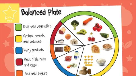 Balanced Plate Photo Mat An A4 sized poster or work mat showing how the 5 food groups are divided up and the different types of food found in each group. To check out all our other amazing Healthy Eating themed resources, simply click the Topic Tags in the side bar. -add-generic-info-here-... - www.tpet.co.uk - Classroom Resources by Teacher's Pet Healthy Eating Posters, Balanced Diet Chart, Ks2 Classroom, Healthy Eating Plate, Diet Plate, Balanced Plate, Foodie Friday, Healthy Plate, Teacher's Pet