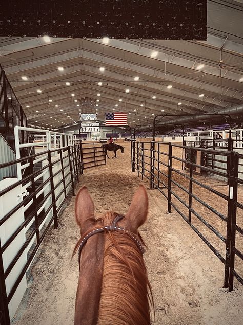 Barrel Racing Aesthetic, Barrel Racing Photos, Roping Horse, Rodeo Time, Useful Gifts, Barrel Racing Horses, Rodeo Horses, Rodeo Cowgirl, Barrel Horse