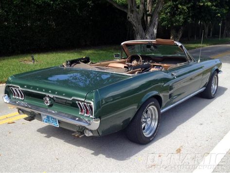 1967 Mustang Convertible, Mustang Cabriolet, Green Mustang, Mustang 1967, Classic Mustangs, Ford Mustang 1967, Mustang Wheels, Vintage Mustang, 1967 Mustang