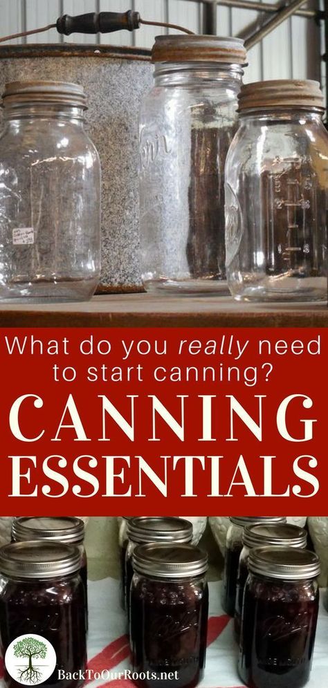 Canning Essentials, Fermenting Recipes, Homestead Food, Canning Granny, Canning Tools, Canning Equipment, Pressure Canning Recipes, Canning 101, Modern Homestead