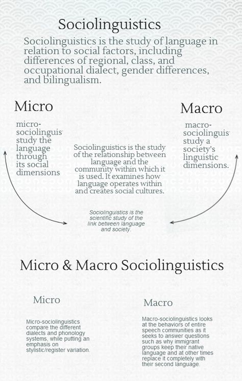 Guide to Sociolinguistics Linguistics Study Notes, Morphology Linguistics, Syntax Linguistics, Linguistics Major, Linguistics Study, Applied Linguistics, Computational Linguistics, English Literature Notes, Language Functions