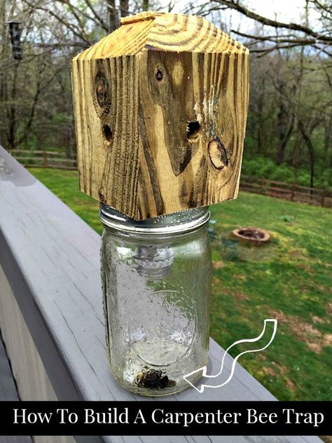 Step by Step DIY instructions on How To Build A Carpenter Bee Trap Bee Trap Diy, Wood Bee Trap, Bee Killer, Bee Trap, Carpenter Bee Trap, Wasp Traps, Bee Traps, Wood Bees, Carpenter Bee