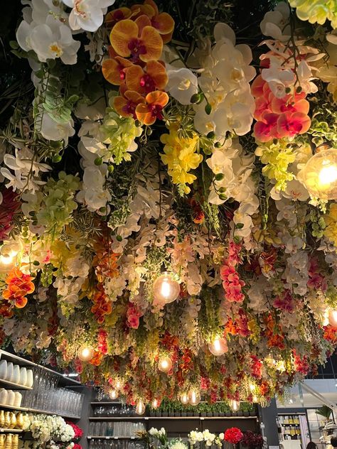 Flowers From Ceiling, Flowers From The Ceiling, Hanging Flowers From Ceiling, Things To Hang From Ceiling, Planter Boxes Flowers, Flower Ceiling, Wedding Ceiling, Flower Bedroom, Hanging Vines