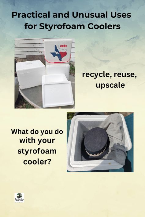 Try this new DIY craft project to reuse and recycle old coolers. Storage, birdhouses, cat hotels, hydroponic gardening, and more. What To Do With Styrofoam Coolers, Repurpose Styrofoam Cooler, Styrofoam Cooler Crafts, Styrofoam Cooler Upcycle, Styrofoam Recycling, Cat Hotel, Cat Houses, Reuse And Recycle, Hot Food