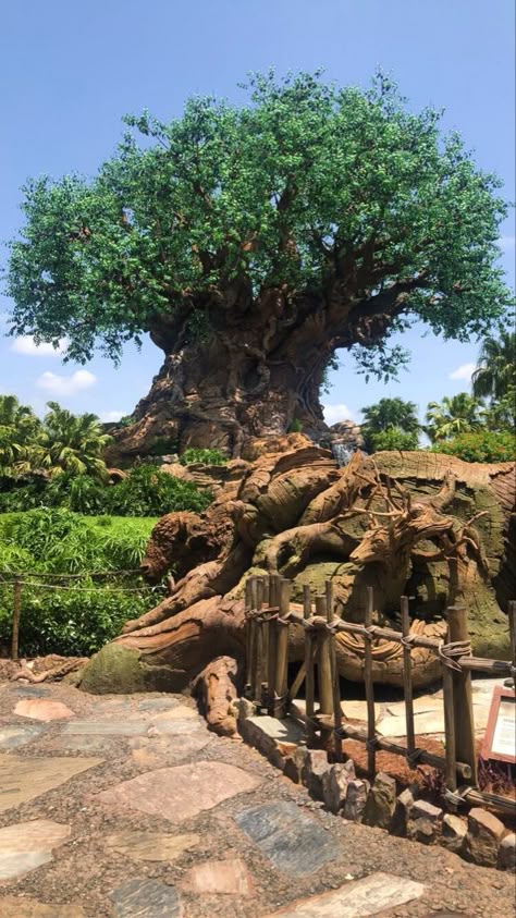 Pastel Disney Aesthetic, Animal Kingdom Photo Ideas, Avatar Flight Of Passage, Animal Kingdom Disney World, Disney Phone Backgrounds, Disney World 2024, Disney World Animal Kingdom, Disney Backgrounds, Disney Animal Kingdom