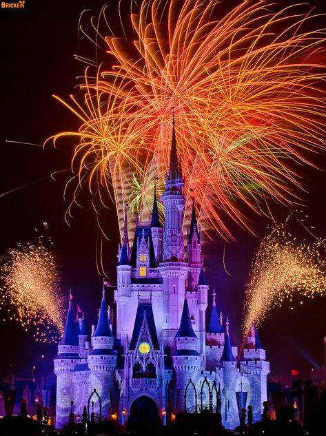 Magic Kingdom Firework Photos, Disney Lights, Disney Fireworks, Fireworks Art, Fireworks Photo, Disney Tourist Blog, Cinderella's Castle, Disney Paris, Disney Photography