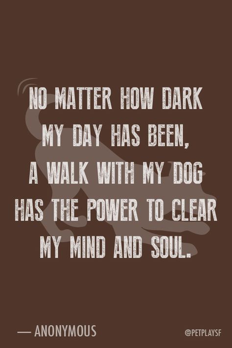 Walk Your Dog Quotes, Reactive Dog Quotes, Mudding Quotes, Dog Walking Quotes, Clear My Mind, Beatles Quotes, Cute Cat Quotes, Superhero Quotes, Dog Texts