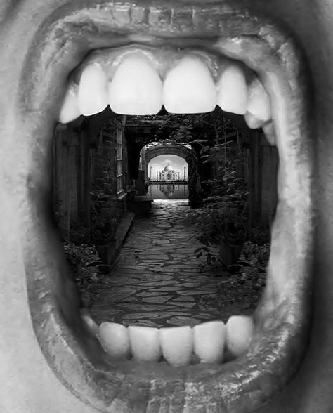 Surreal Photo Manipulations by Thomas Barbéy | Bored Panda Surreal Photos, Montage Photo, Surrealism Photography, Conceptual Photography, Foto Art, Digital Art Illustration, Pics Art, Surreal Art, White Photography