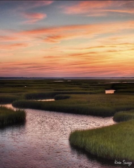 Low Country Photography, Low Country Aesthetic, Marshes Landscape, Marsh House, Southern Landscape, Southern Photography, Sketch Reference, Country Photography, Painting Landscapes