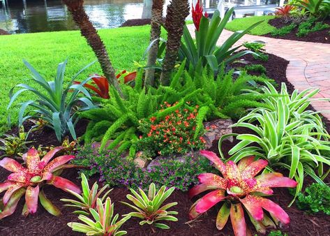 Florida Front Of House Landscaping, Mulch Design Ideas, Florida Tropical Landscaping Ideas, Tropical Walkway, Central Florida Landscaping Ideas, Tropical Landscaping Front Yard, Tropical Front Yard Landscaping, Landscape Planters, Florida Plants Landscaping