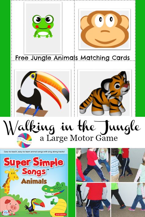 Come MOVE with Jungle Animals - free jungle animals cards to print and play! via @pschooltoolbox Jungle Animals Preschool, Jungle Theme Activities, Rainforest Preschool, Walking In The Jungle, Preschool Jungle, Jungle Activities, Rainforest Activities, Animals Cards, Rainforest Theme