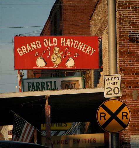 "Down On Main Street" #BonnieBlanton #photography #Tennessee #signs #Dickson Dickson Tennessee, Nashville Vacation, Destination Unknown, Kentucky Girl, Liberty And Justice For All, Tennessee Travel, Rocky Top, Tennessee State, Good Ole