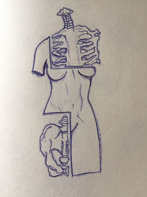 Skeleton Torso Drawing Easy, Half Body Half Skeleton Drawing, Skeleton Sketch Easy, Aesthetic Drawing Skeleton, Body Skeleton Drawing, Skeleton Easy Drawing, Skeleton Art Drawing Easy, Skeleton Art Simple, Skeleton Art Easy