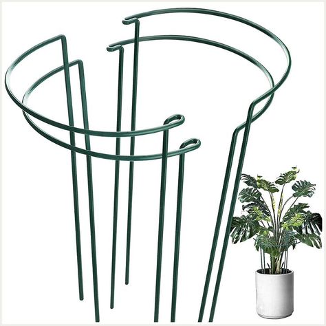 HiGift 4 Pack Plant Support Stake, Metal Ring Garden Stakes for Plant, Half Circle Plant Supports for Tall Potted Plants Indo Climbing Flowers Trellis, Plant Support Stakes, Tall Potted Plants, Garden Plant Supports, Climbing Plant Support, Plant Cages, Climbing Flowers, Orange Plant, Plant Stakes