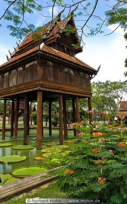 Image result for thai stilt.house Thai Stilt House, Building On Stilts, Traditional Thai Architecture, Modern Kampung House, Thai House Traditional, Houses On Stilts, House Pond, Stilt Home, Thai Architecture