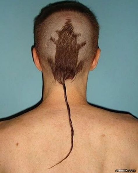 Rat Tail Haircut, Haircut Fails, Bad Haircut, Rat Tail, Corte De Cabelo Masculino, صور مضحكة, Hair Photo, Alam Semula Jadi, Crazy Hair