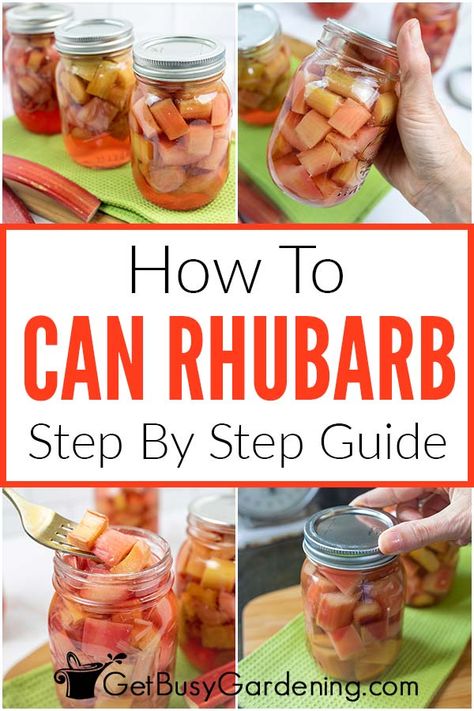 Canning Rhubarb Recipes, Canned Rhubarb, Rhubarb Canning Recipes, Cooking Rhubarb, Canning Rhubarb, How To Cook Rhubarb, Canning Meals, Grow Rhubarb, Preserving Fruit