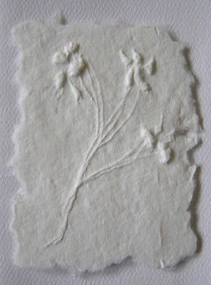 Paper Pulp Art, Embossed Paper Art, 2024 Watercolor, Hand Embossing, Cast Paper, Paper Casting, Anatomy Sculpture, Paper Pulp, Embossed Printing