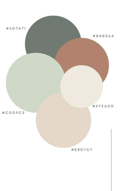 Injector Room, Spa Color Palette, Spa Colors, Spa Room Decor, Instagram Branding Design, Small Spa, Color Pallete, Business Marketing Plan, Instagram Branding