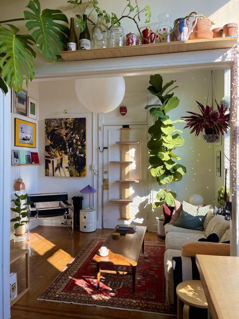 Lots Of Plants, Deco Studio, Casa Vintage, Aesthetic Rooms, Apartment Decor Inspiration, Baltimore Maryland, Decoration Inspiration, Apartment Inspiration, Living Room Inspo