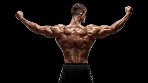 Get strong and broad by turning your training to your back, which has dozens of muscles just waiting for our ultimate back workout… Bodybuilding For Beginners, Muscular Back, Full Body Workout Plan, Good Back Workouts, Barbell Row, Latissimus Dorsi, Exercise Ideas, Back Muscles, Back Exercises