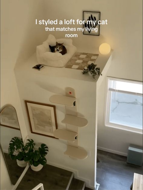 Cute Cat Interior Ideas, Cat Place Ideas, Tiny Cat Room, Bedroom With Cat Ideas, Tiny Home Cat Ideas, Cat Organization Ideas Small Spaces, Cute Cat Corner Ideas, Cat In Small Apartment Ideas, Cat Eating Area