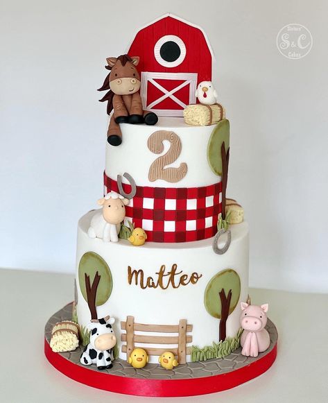 Simple Barnyard Birthday Cake, Petting Zoo Birthday Cake, Three I E I O Cake, Farm Birthday Cake Ideas, Not My First Rodeo 2nd Birthday Cake, Birthday Cake Farm Theme, Farm Birthday Party For Boys, Farm Cake Ideas, Farm Animals Birthday Cake